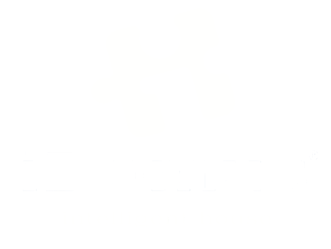 iDomus